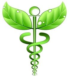 231x260-Caduceus Alternative Medicine 382x480